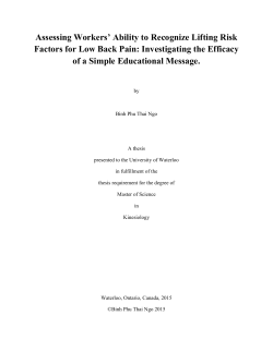 Assessing Workers` Ability to Recognize Lifting Risk Factors for Low