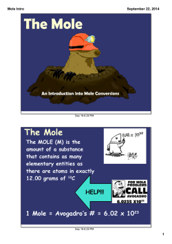 Mole Intro