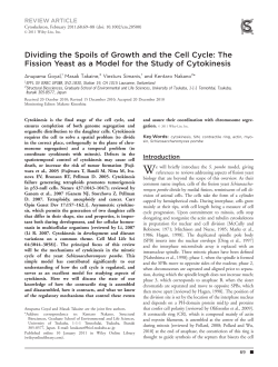 Cytoskeleton 2011 Goyal et al - Infoscience
