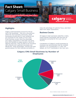 Fact Sheet: Calgary Small Business