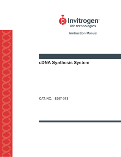 cDNA Synthesis System - Thermo Fisher Scientific