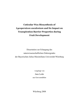 Cuticular wax development of tomato fruits: Effect