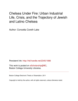 Chelsea Under Fire: Urban Industrial Life, Crisis