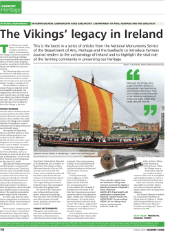 The Vikings` legacy in Ireland