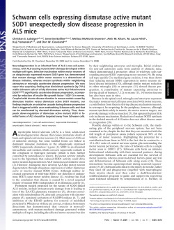 Schwann cells expressing dismutase active mutant SOD1