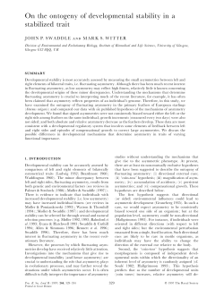 pdf copy
