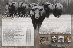 2016 bull sales - T Bar C Cattle Company