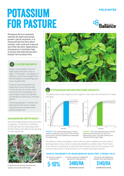 Potassium for Pasture - Ballance Agri