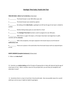 Geologic Time Scale, Fossils Unit Test