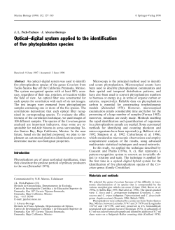 Optical&plusmn;digital system applied to the identi&reg;cation