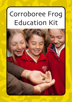 Corroboree Frog Education Kit - Wirraminna Environmental