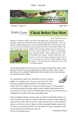 Check Before You Mow - Isle of Wight County Humane Society