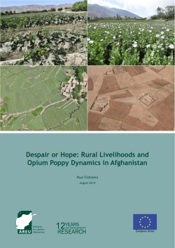 Despair or Hope: Rural Livelihoods and Opium Poppy Dynamics in