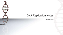 DNA Replication Notes