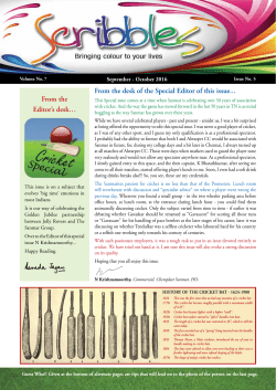 Cricket - The Sanmar Group