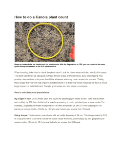 How to do a canola plant count