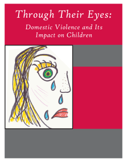 Through Their Eyes: Domestic Violence and It`s Impact on Children
