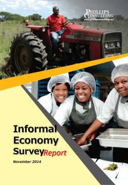 Informal Economy - Phillips Consulting