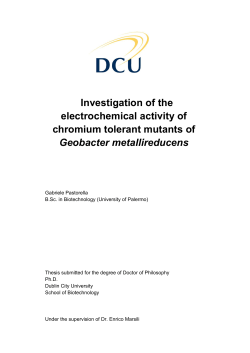 Investigation of the electrochemical activity of chromium tolerant