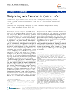 Deciphering cork formation in Quercus suber