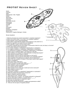 PROTIST Review Sheet