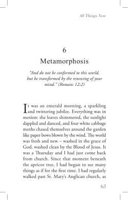 6 Metamorphosis - Memoir Publishing