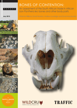 Bones of Contention