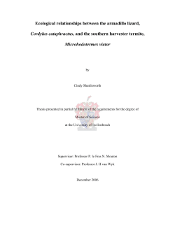 Ecological relationships between the group