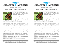 Toxic Butterflies Fool Evolutionists