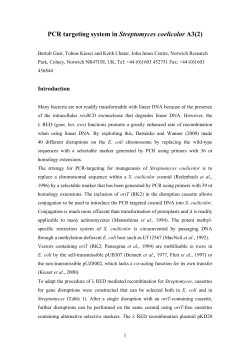 PCR targeting system in Streptomyces coelicolor
