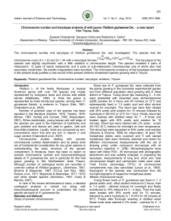 Chromosome number and karyotype analysis of wild guava Psidium