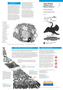 Cape Rodney-Okakari Point Marine Reserve: inter