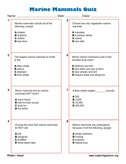 Marine Mammals Quiz
