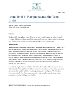 Issue Brief 4: Marijuana and the Teen Brain
