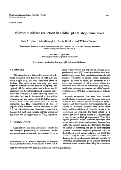 Microbial sulfate reduction in acidic (pH 3) strip
