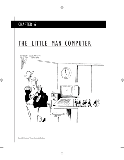 THE LITTLE MAN COMPUTER