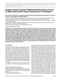 Adaptor Protein Complex 2&ndash;Mediated Endocytosis