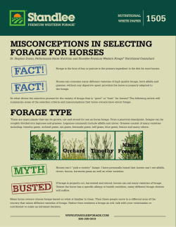 misconceptions in selecting forage for horses