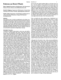 Patterns on Desert Plants