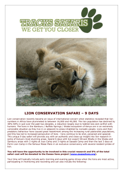 lion conservation safari – 9 days