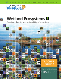 educator guide 4-6 - Shuswap Watershed Project