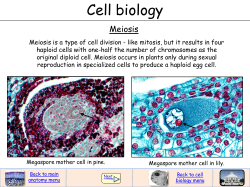Meiosis