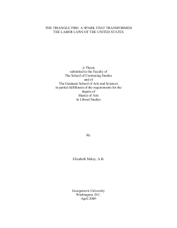 the triangle fire: a spark that transformed the labor laws