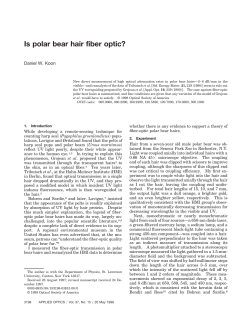 Is polar bear hair fiber optic?