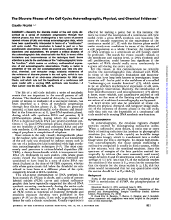 The Discrete Phases of the Cell Cycle: Autoradiographic