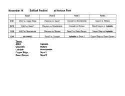 November 14 Softball Festival at Horizon Park