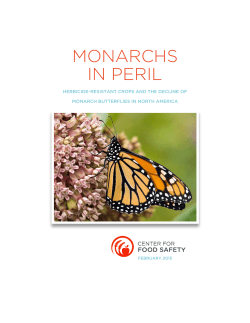 Monarchs in Peril - Center for Food Safety