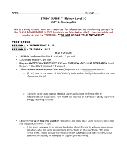 STUDY GUIDE - Unit 4 Bioenergetics