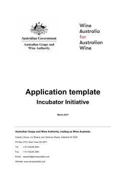 Incubator Initiative application template