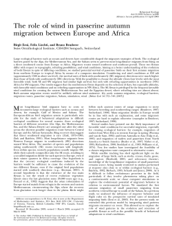 The role of wind in passerine autumn migration between Europe
